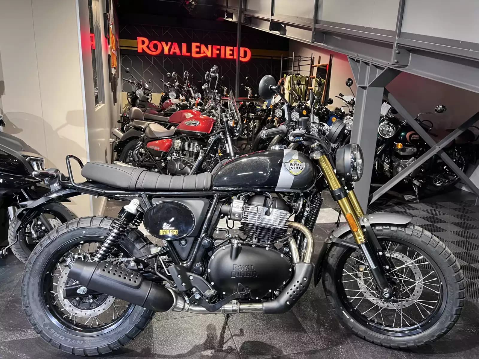 Royal Enfield Bear 650 Golden Shadow - Photo 1