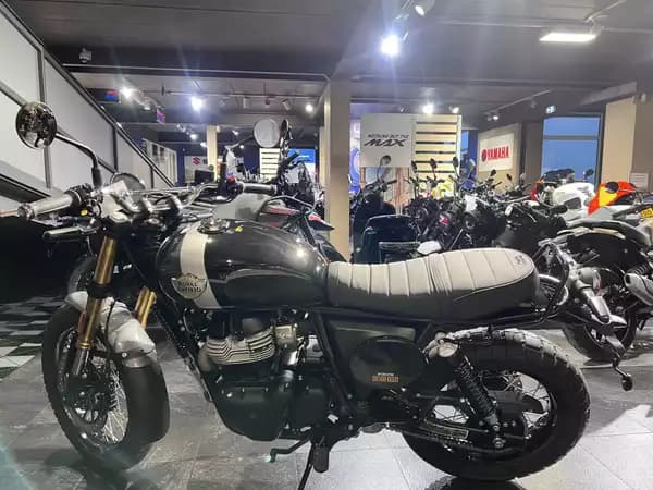 Royal Enfield Bear 650 Golden Shadow - Photo 3