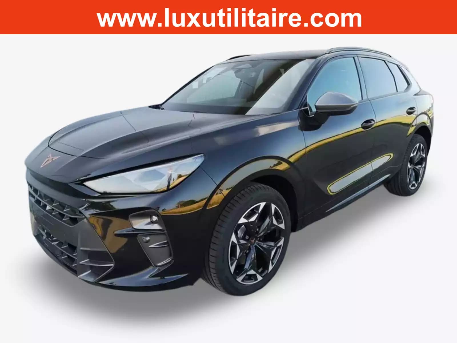 Cupra Terramar 2.0 TSI DSG 265 VZ 4Drive - Photo 1