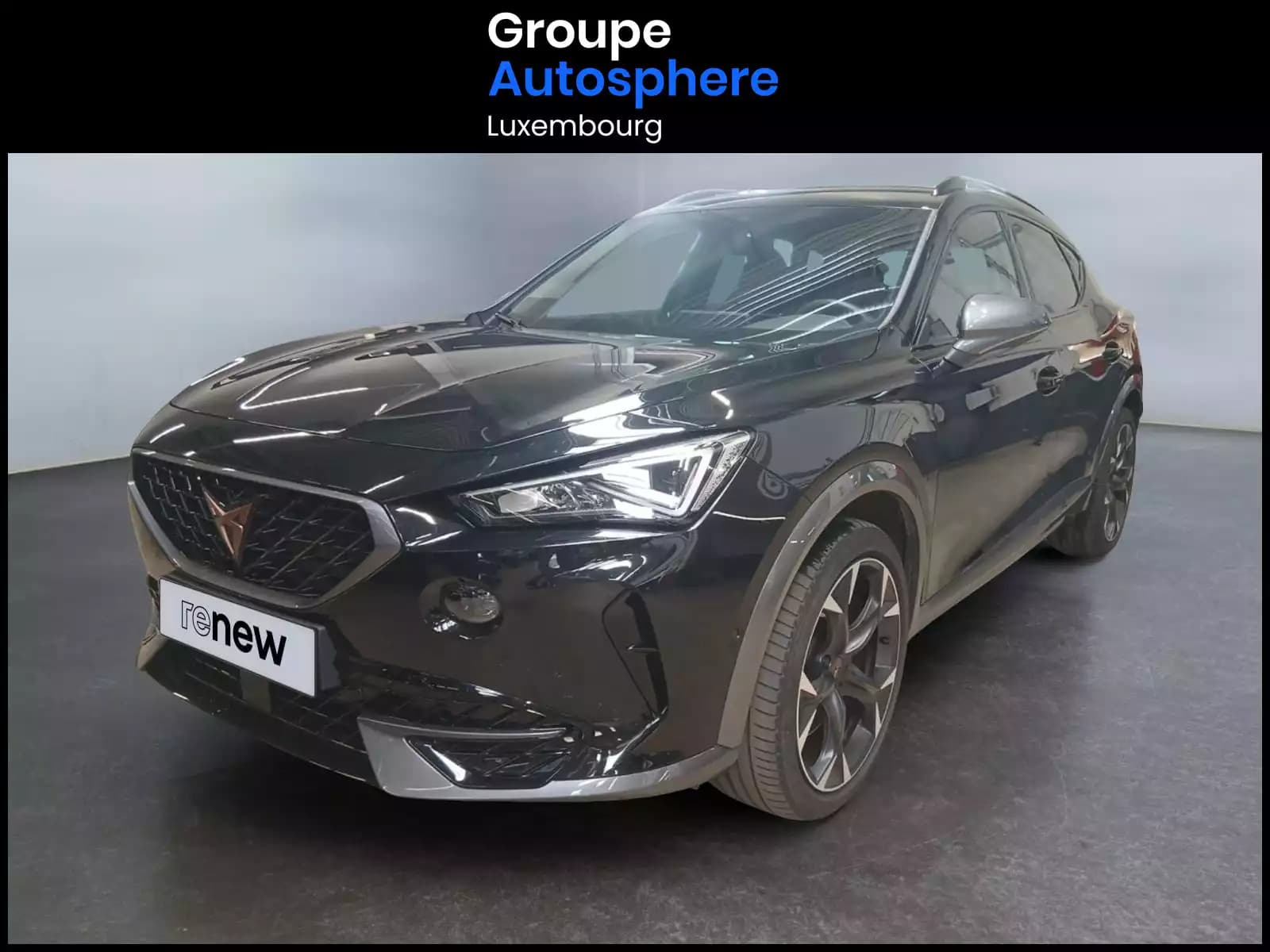 Cupra Formentor 2.0 TSI 4DRIVE VZ DSG - Photo 1