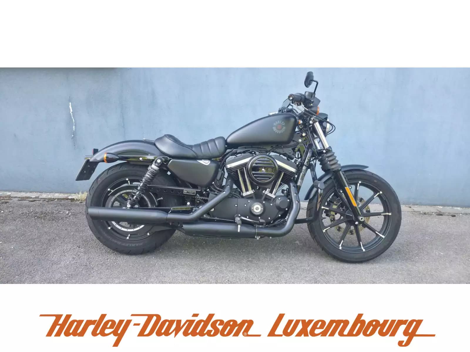 Harley-Davidson Sportster 883 - Photo 1