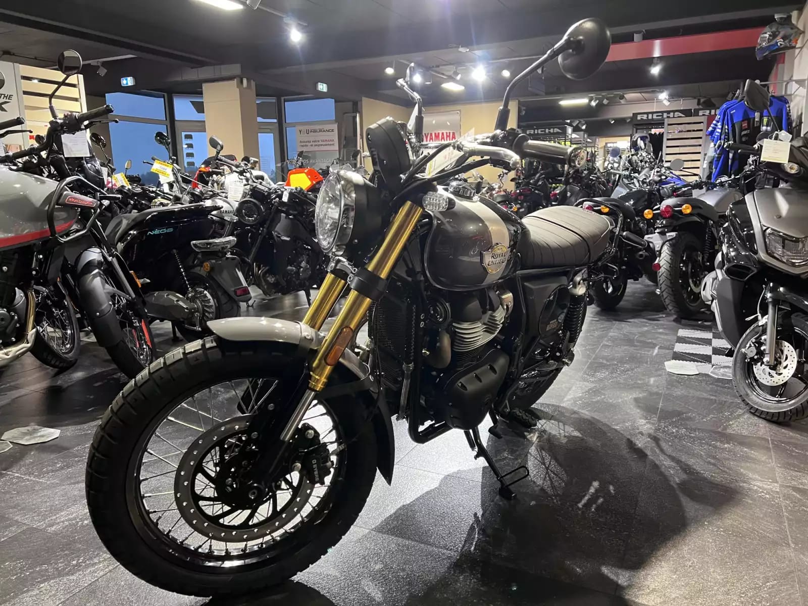 Royal Enfield Bear 650 Golden Shadow - Photo 1