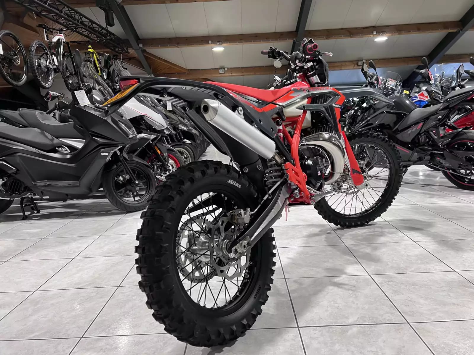 Beta Xtrainer 300 2T MY25 - Photo 1