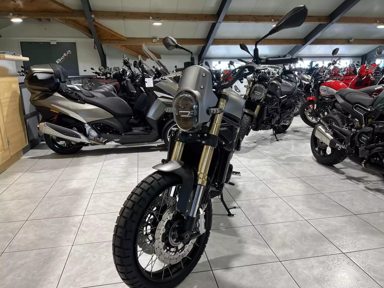 Benelli Leoncino Trail 800 - Photo 1