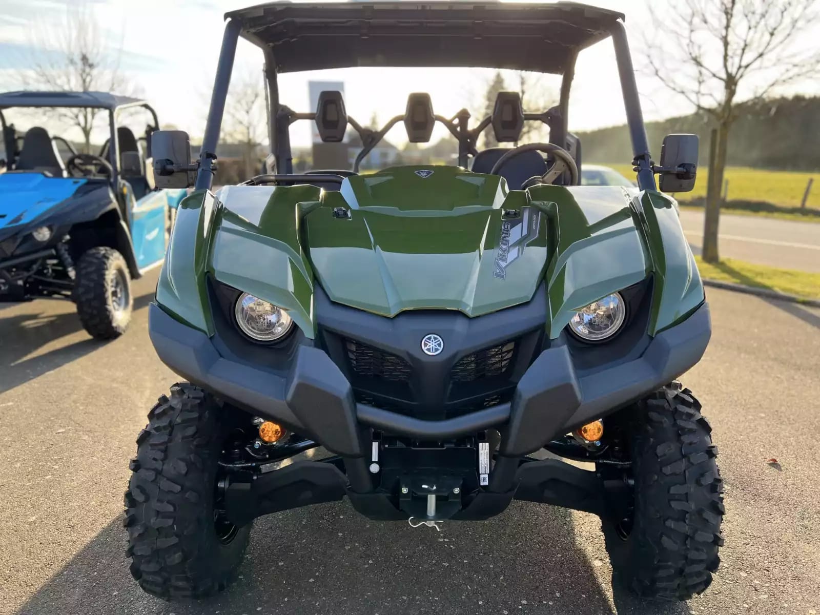 Yamaha Viking EPS 700 EPS - Photo 1