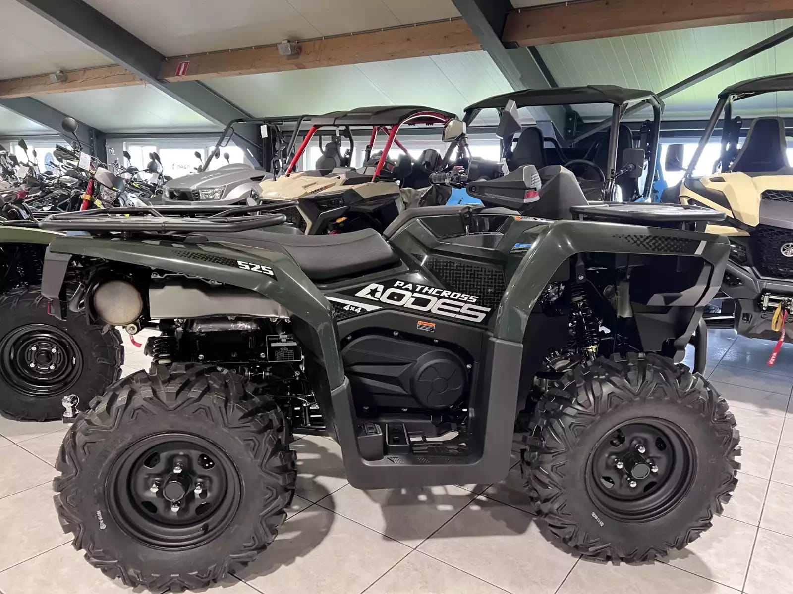 AODES Pathcross 525 S T3 EPS - Photo 1