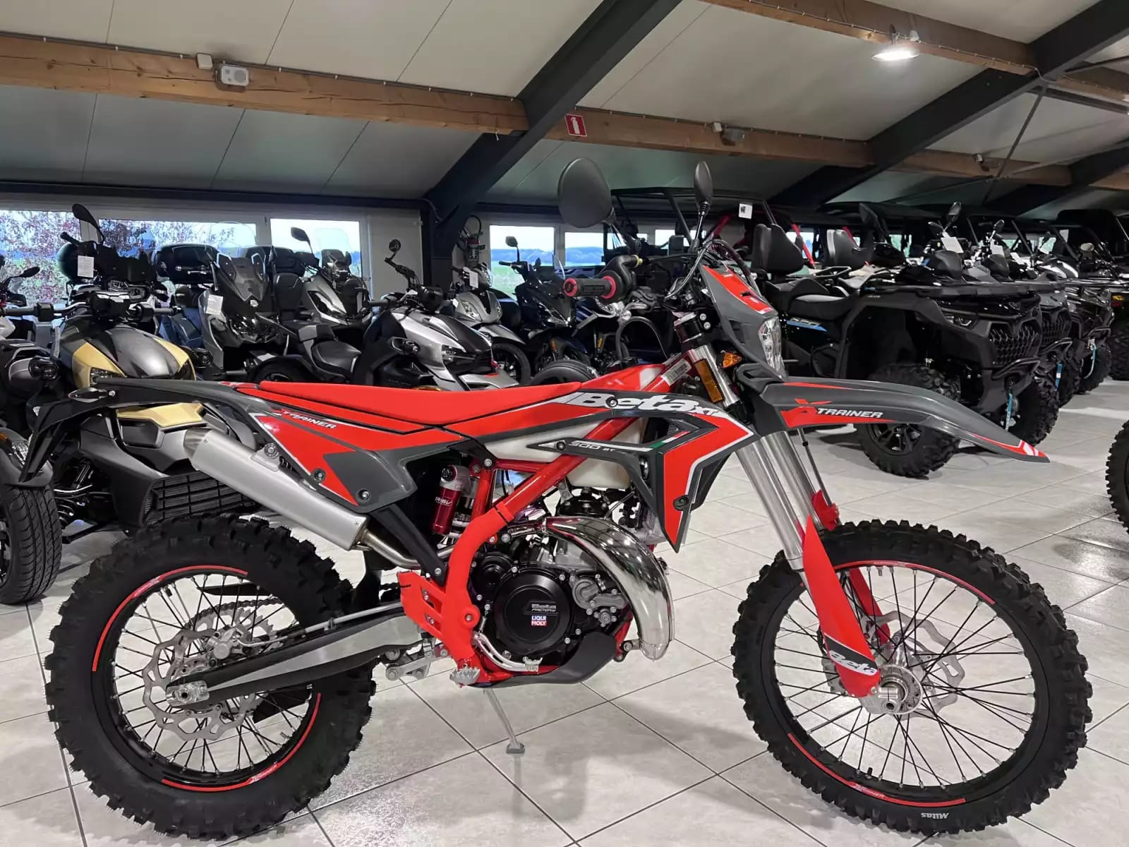 Beta Xtrainer 300 2T MY26 - Photo 1