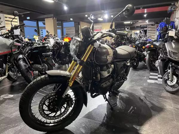 Royal Enfield Bear 650 Golden Shadow - Photo 2