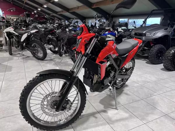 Beta Alp 4.0 - Photo 2