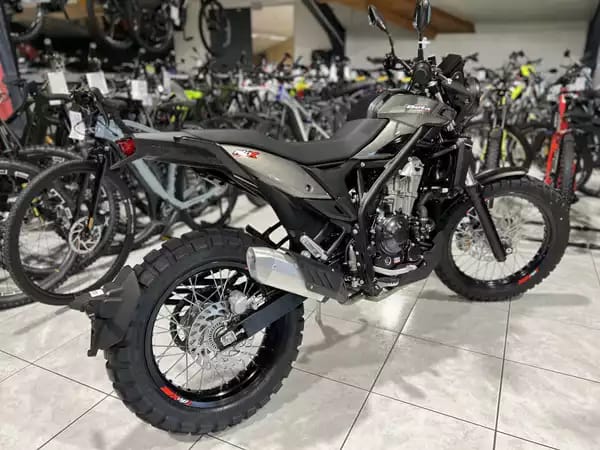 Beta Alp 4.0 X - Photo 2