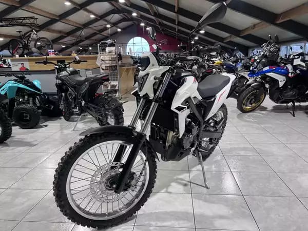 Beta Alp 4.0 - Photo 2