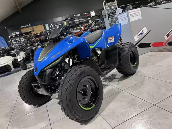 CF Moto CFORCE 110 - Photo 2