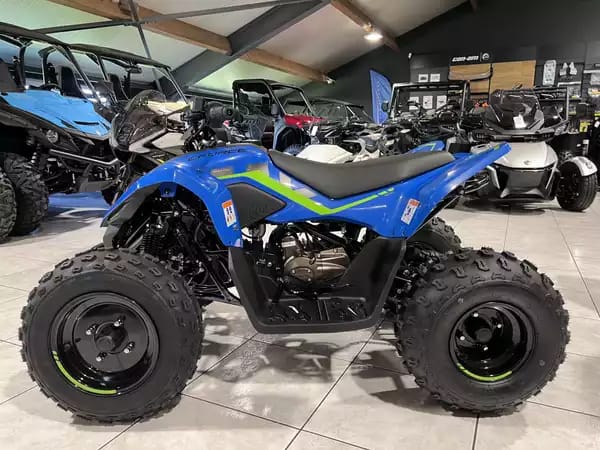 CF Moto CFORCE 110 - Photo 3