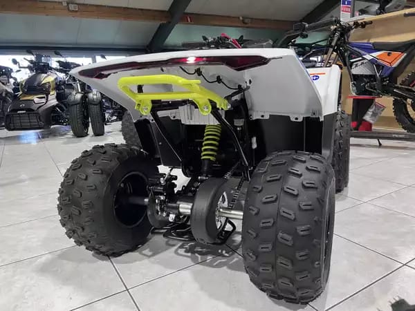 CF Moto CForce EV 110 - Photo 2