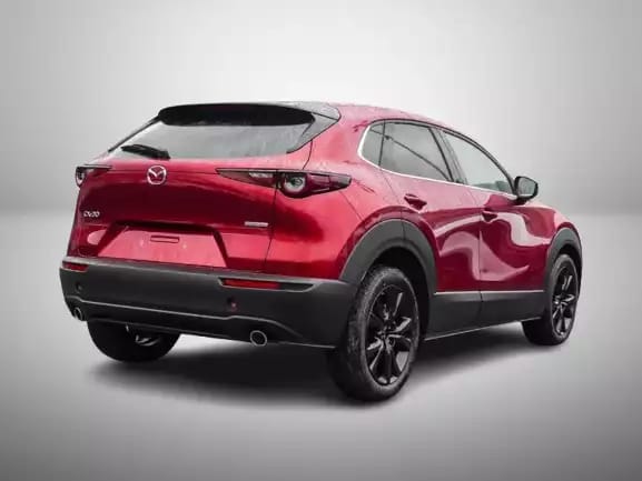 Mazda CX-30 2.5 E-Skyactiv  G 140 Homura - Photo 1