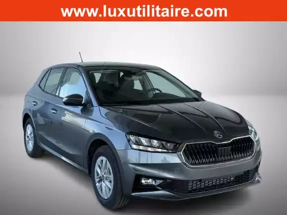 Skoda Fabia 1.0 TSi 110 DSG Selection - Photo 1