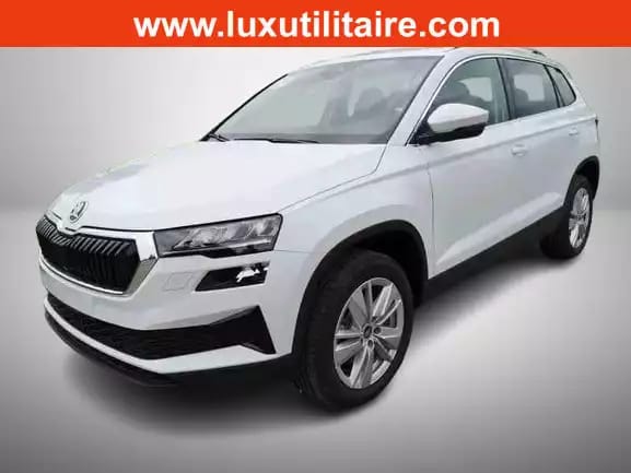 Skoda Karoq 1.5 TSi 150 DSG SELECTION - Photo 1