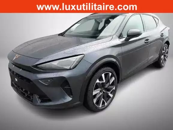 Cupra Formentor 2.0 TSi DSG 333 Facelift 4DRIVE - Photo 1