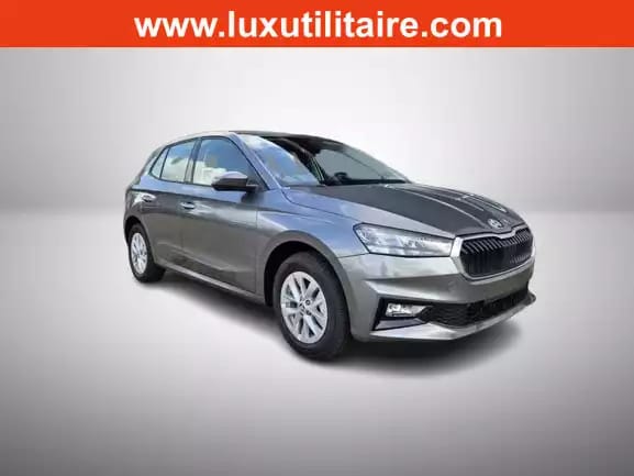 Skoda Fabia 1.0 TSi 115 DSG Selection - Photo 1