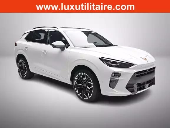 Cupra Terramar 2.0 TSI DSG 265 VZ 4Drive - Photo 1