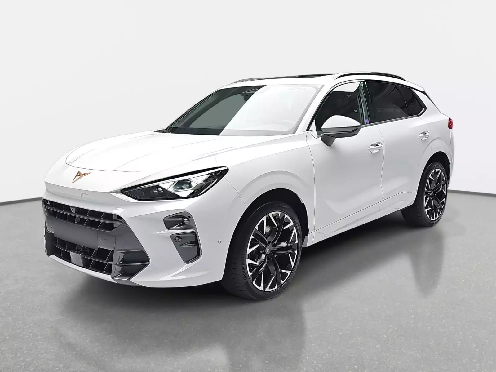 Cupra Terramar 2.0 TSI DSG 265 VZ 4Drive - Photo 1