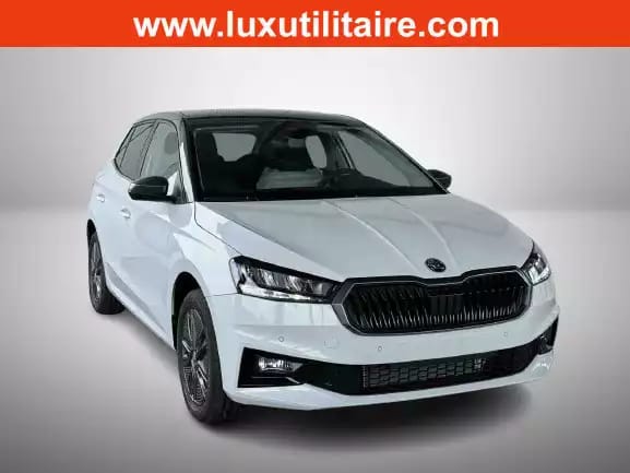 Skoda Fabia 1.0 TSi 110 DSG Selection - Photo 1