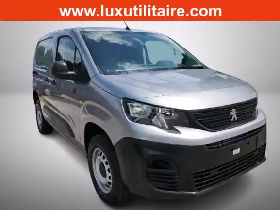 Peugeot Partner 1.5 BlueHDI 131 L1 Dangel 4x4 - Photo 1