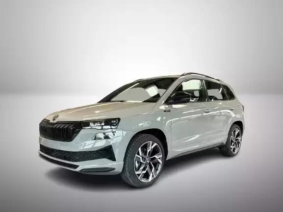 Skoda Karoq 2.0 TSi 190 DSG Sportline 4x4 - Photo 1