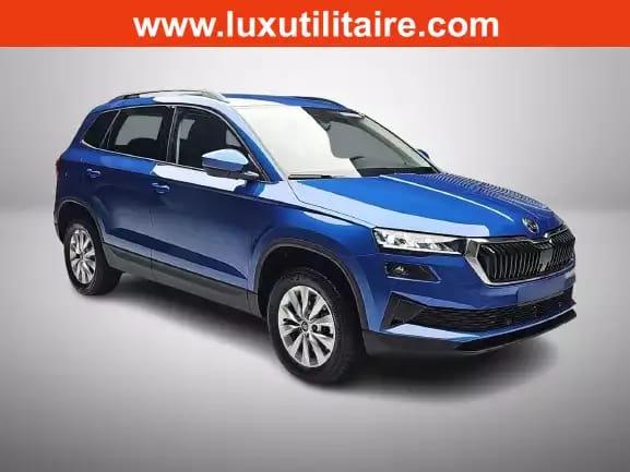 Skoda Karoq 1.5 TSi DSG 150 130 Anniversary - Photo 1