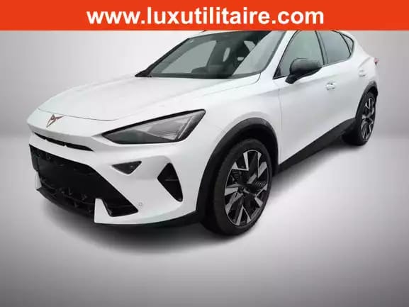 Cupra Formentor 2.0 TSi DSG 333 Facelift 4DRIVE - Photo 1