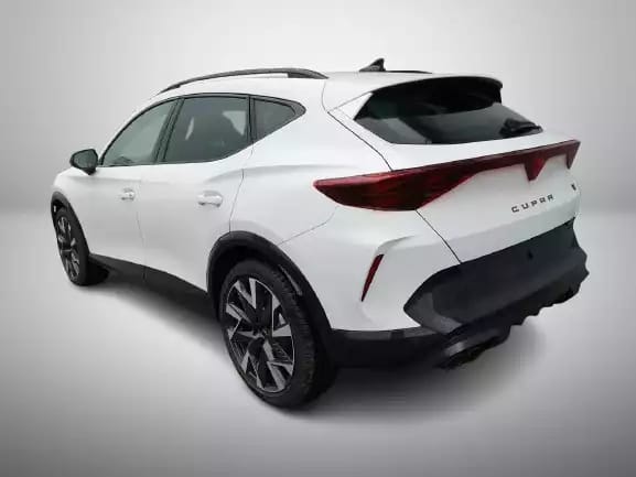 Cupra Formentor 2.0 TSi DSG 333 Facelift 4DRIVE - Photo 1