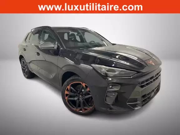 Cupra Terramar 2.0 TSI DSG 265 VZ 4Drive - Photo 1