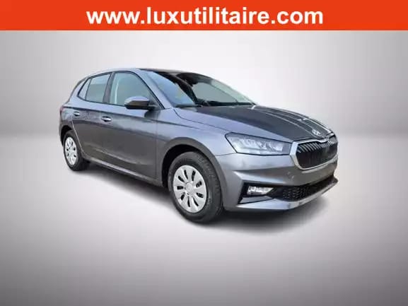 Skoda Fabia 1.0 TSi 95 Selection - Photo 1
