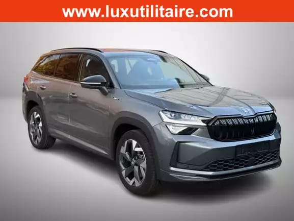 Skoda Kodiaq 2.0 TSi DSG 204 4x4 Sportline - Photo 1