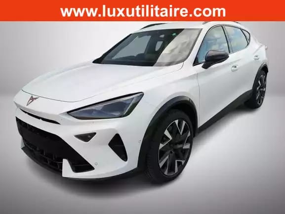 Cupra Formentor 2.0 TSi DSG 333 Facelift 4DRIVE - Photo 1