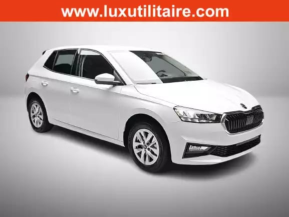 Skoda Fabia 1.0 TSi 115 DSG Selection - Photo 1
