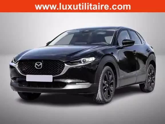 Mazda CX-30 2.5 E-Skyactiv  G 140 Homura - Photo 1