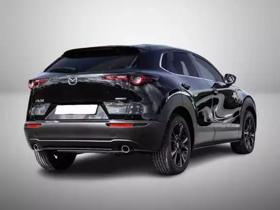 Mazda CX-30 2.5 E-Skyactiv  G 140 Homura - Photo 1