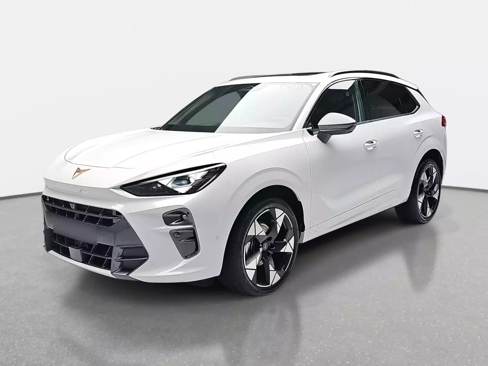 Cupra Terramar 1.5 eTSi DSG 150 - Photo 1