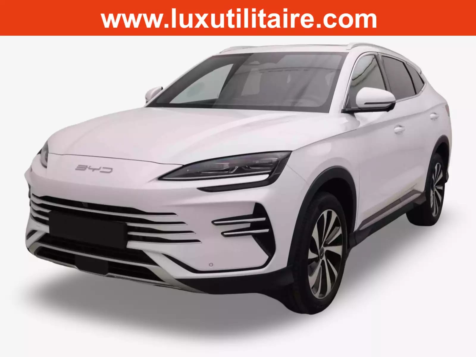 BYD Seal U 1.5 PHEV 218 Automatique - Photo 1
