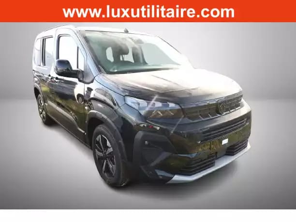 Peugeot Rifter 1.5 BlueHDI 130 EAT8 L1 GT - Photo 1