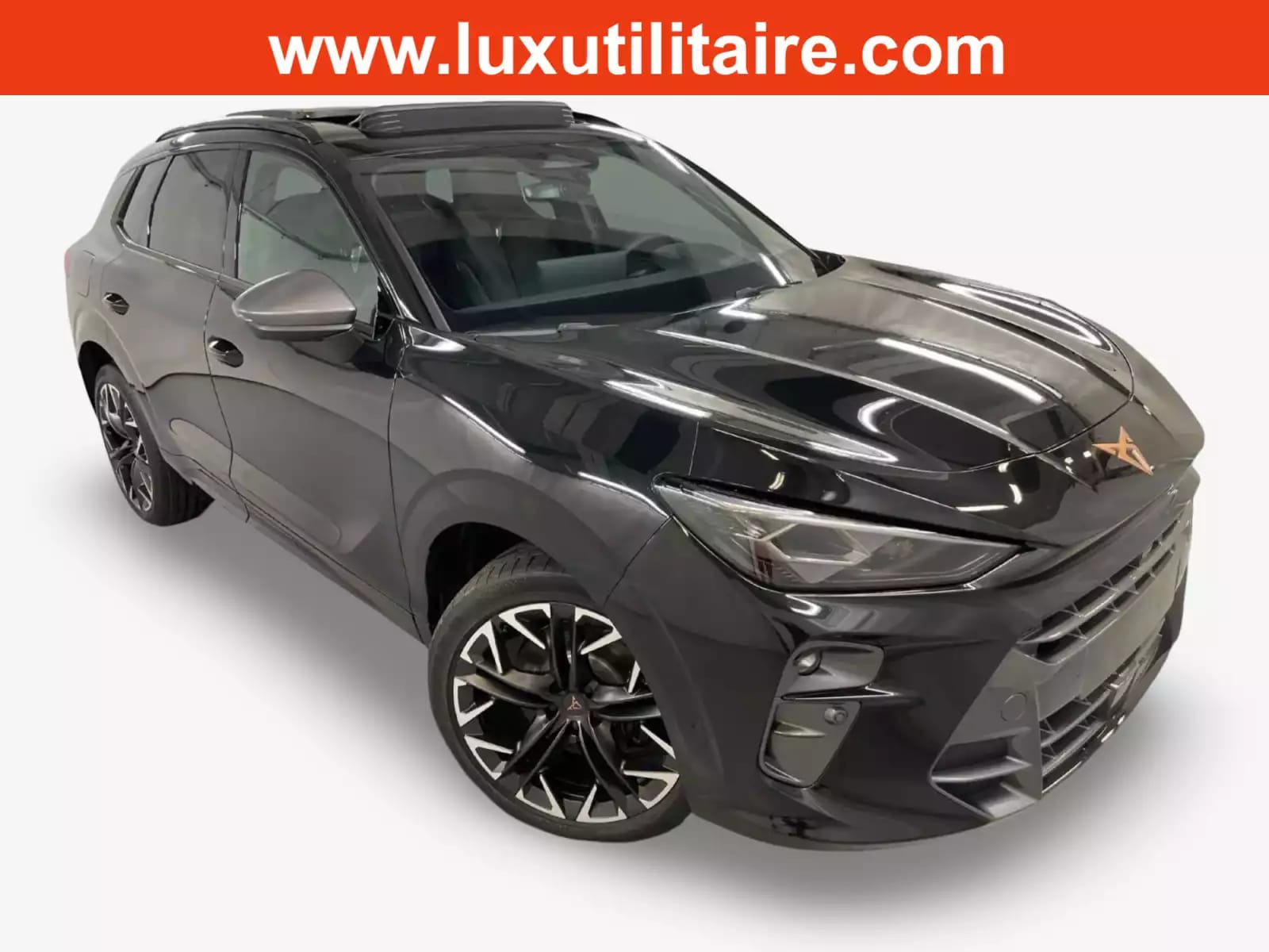 Cupra Terramar 2.0 TSI DSG 265 VZ 4Drive - Photo 1