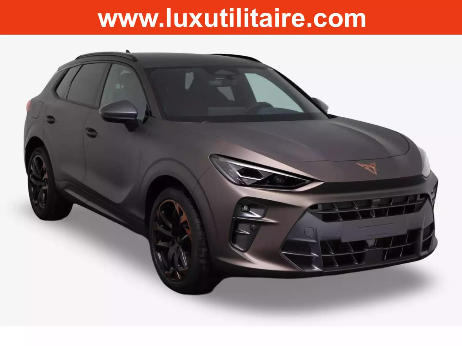 Cupra Terramar 2.0 TSI DSG 265 VZ 4Drive - Photo 1