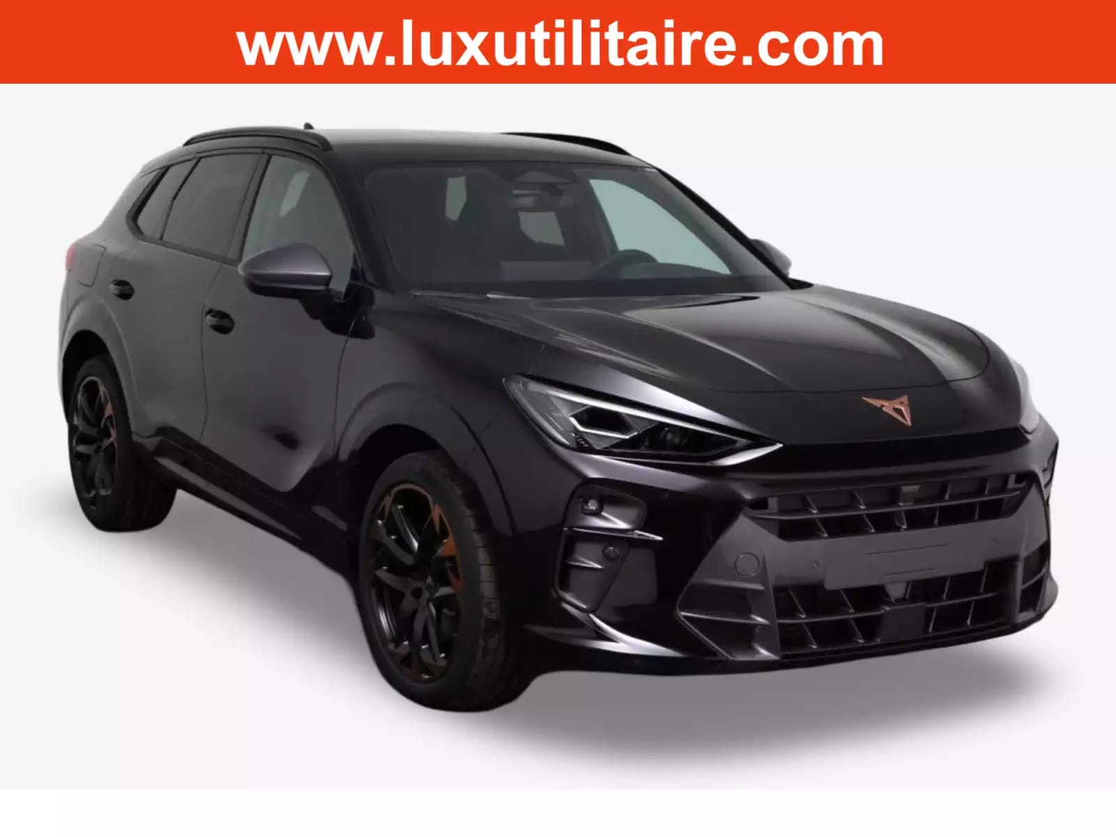 Cupra Terramar 2.0 TSI DSG 265 VZ 4Drive - Photo 1