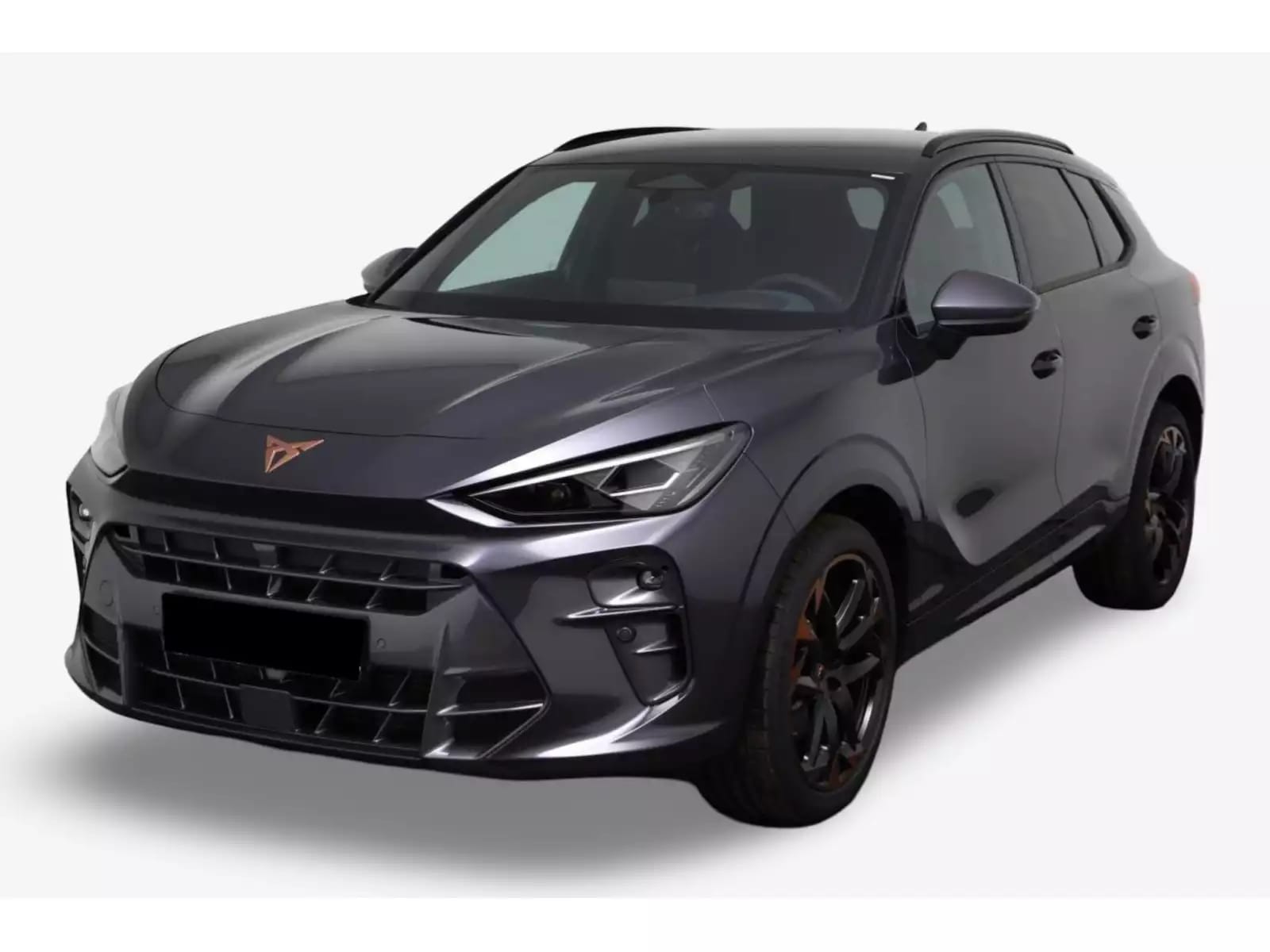 Cupra Formentor 2.0 TSI VZ 333 DSG 4 Drive - Photo 1