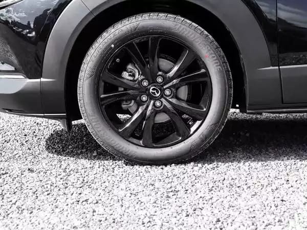 Mazda CX-30 2.5 E-Skyactiv  G 140 Homura - Photo 2