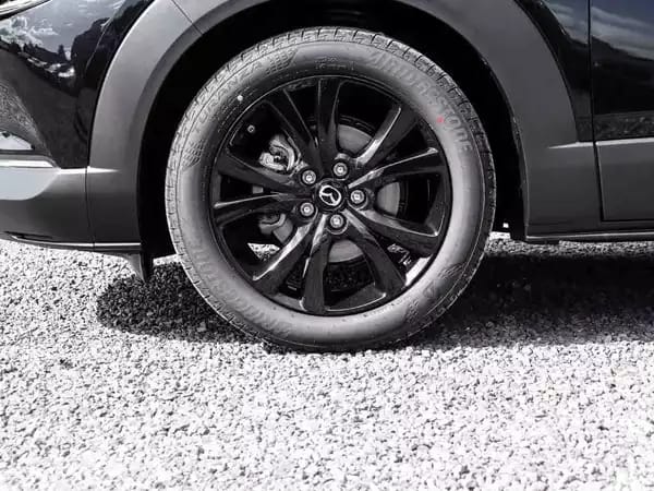 Mazda CX-30 2.5 E-Skyactiv  G 140 Homura - Photo 2