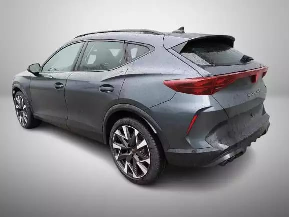 Cupra Formentor 2.0 TSi DSG 333 Facelift 4DRIVE - Photo 2