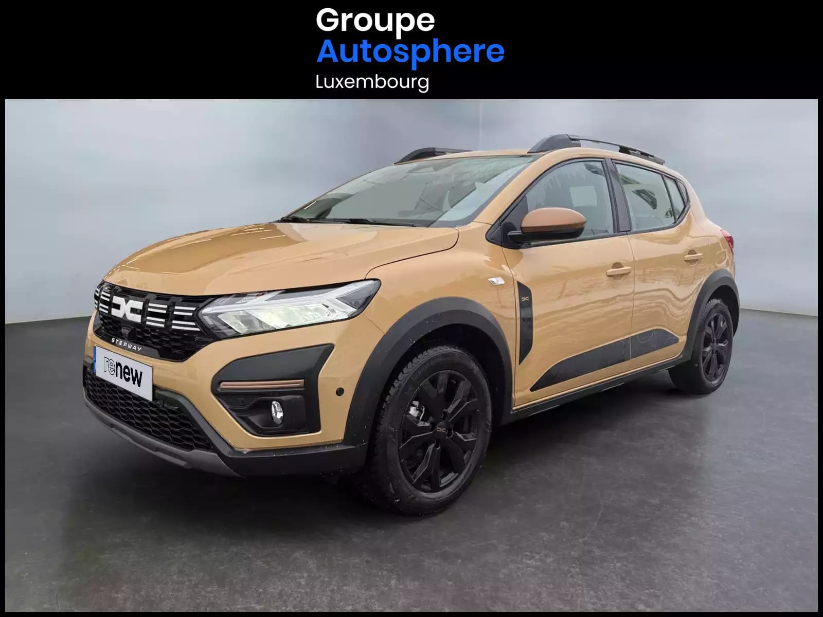 Dacia Sandero 1.0 Tce Stepway Extrême TCE 90 - Photo 1