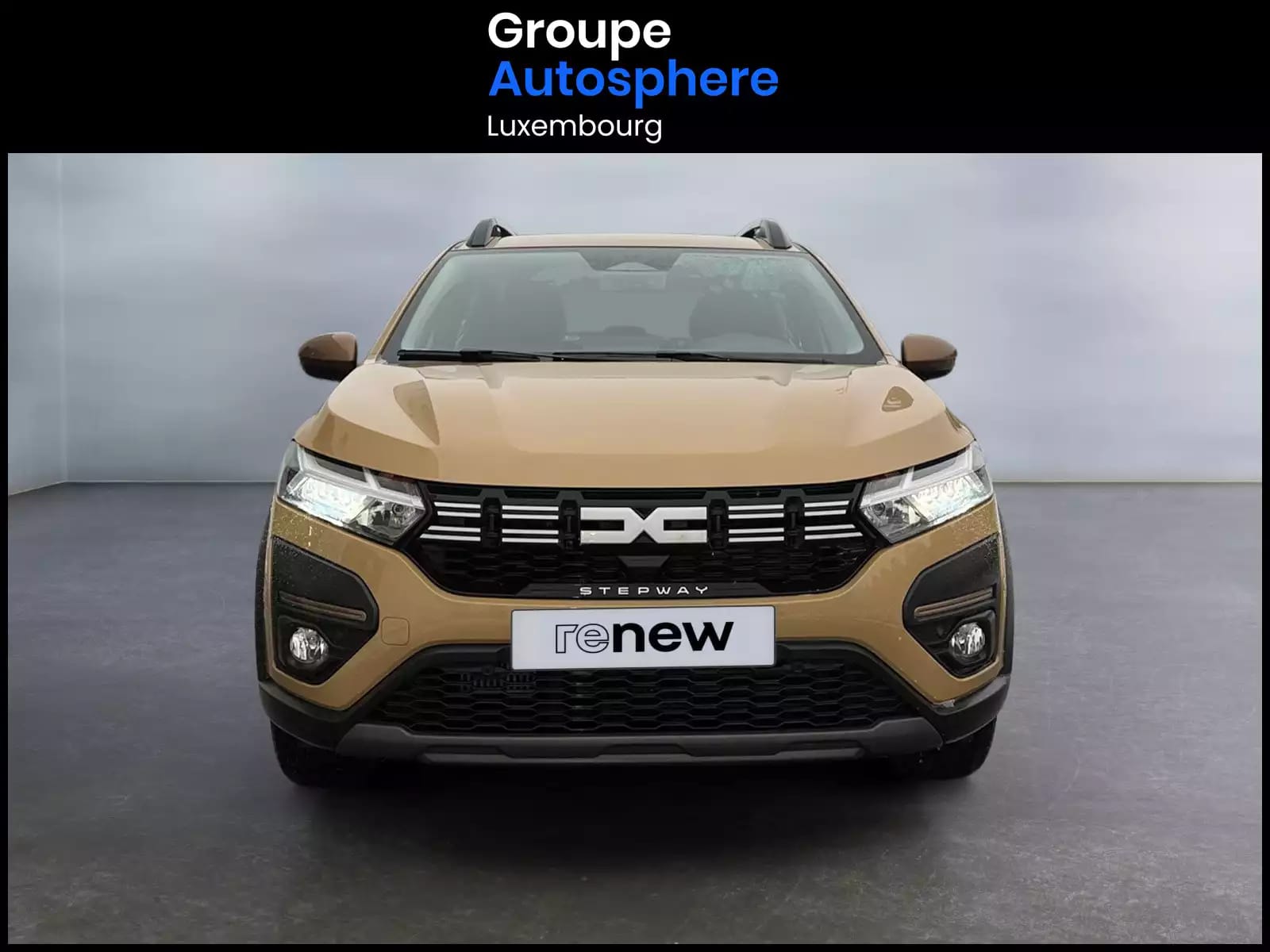 Dacia Sandero 1.0 Tce Stepway Extrême TCE 90 - Photo 1